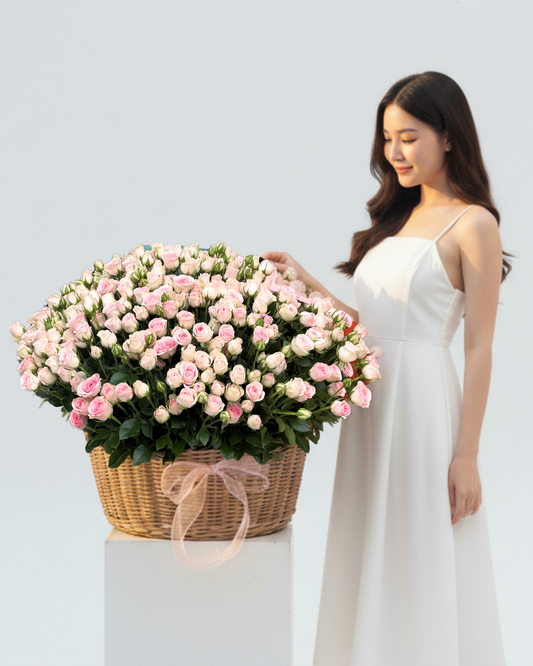 Basket with bush rose