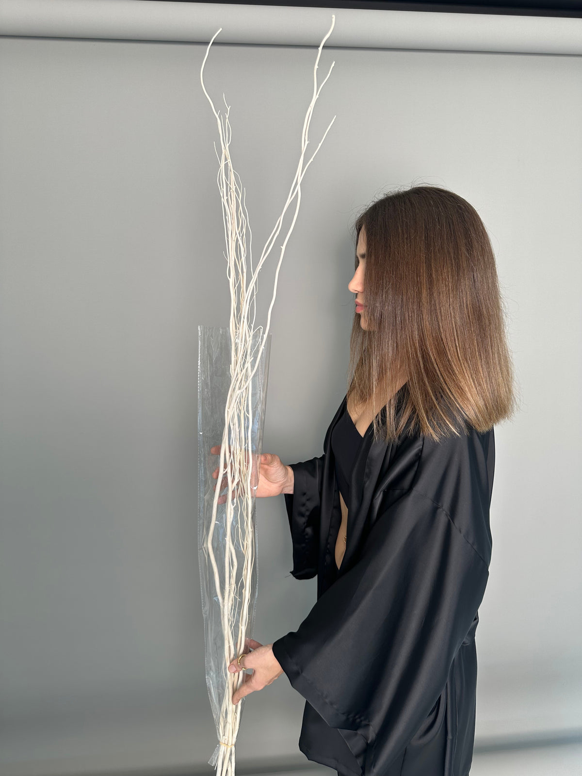 Salex white. Dried flowers