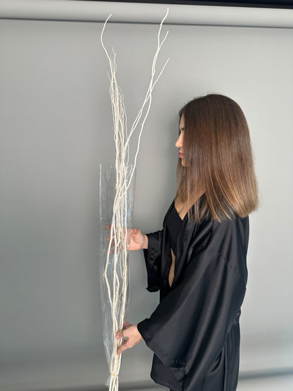 Salex white. Dried flowers