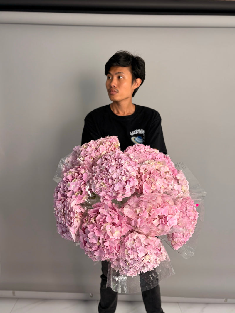 Big pack Pink Hydrangea (11 stems)