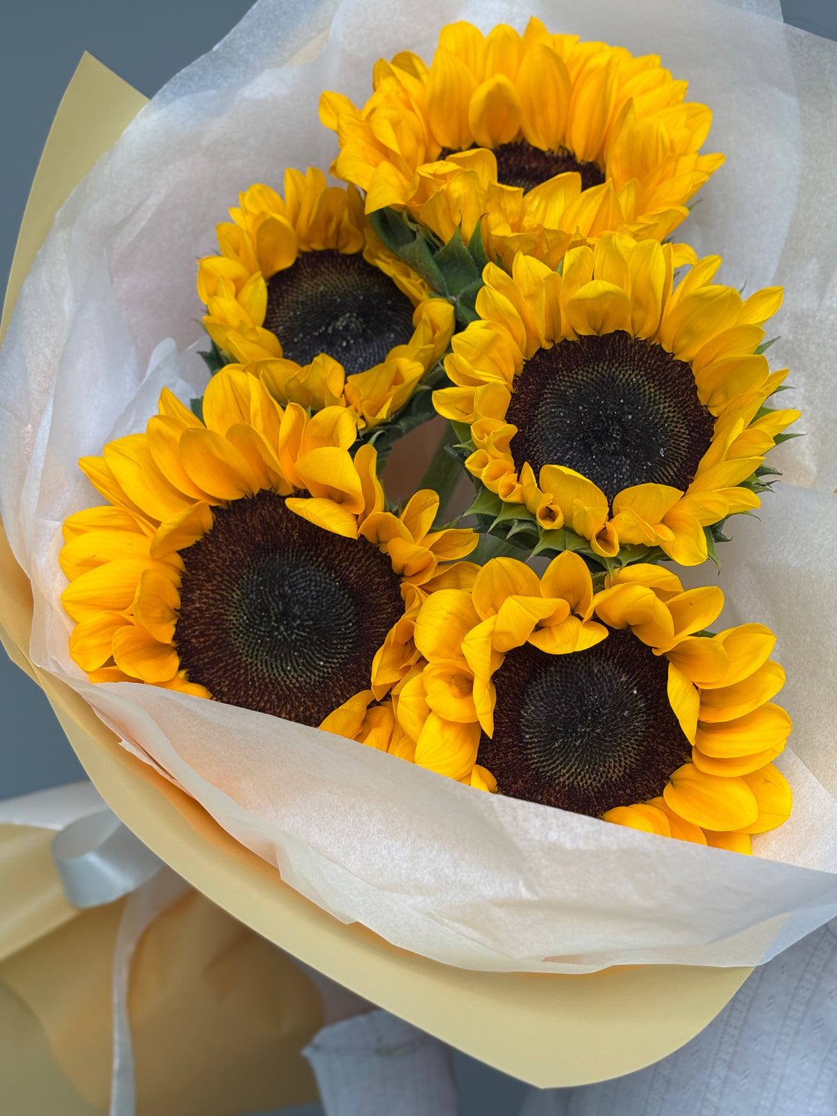 5 Sunflowers