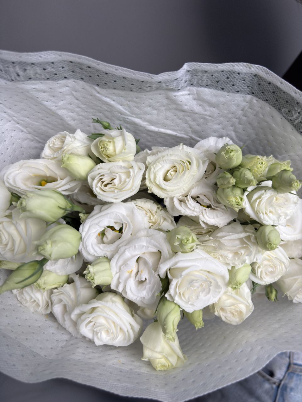 White eustoma