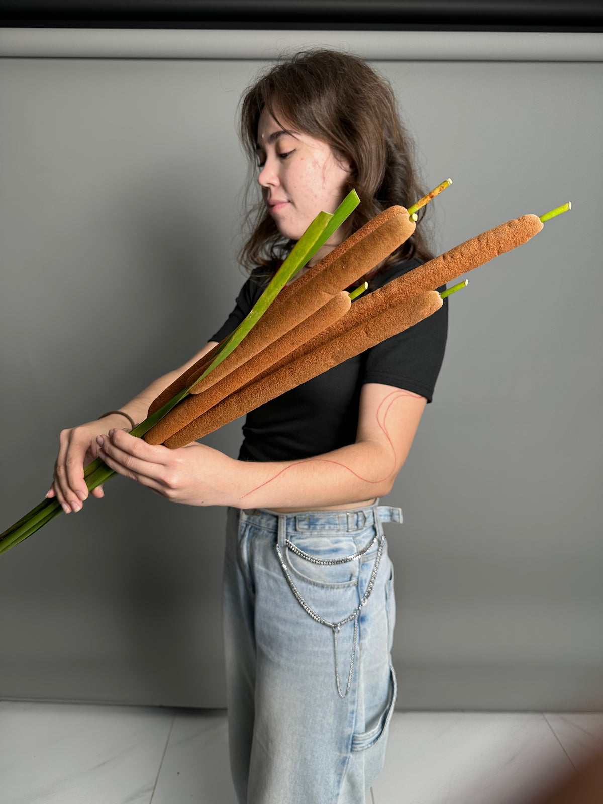 Reeds (5 stems)