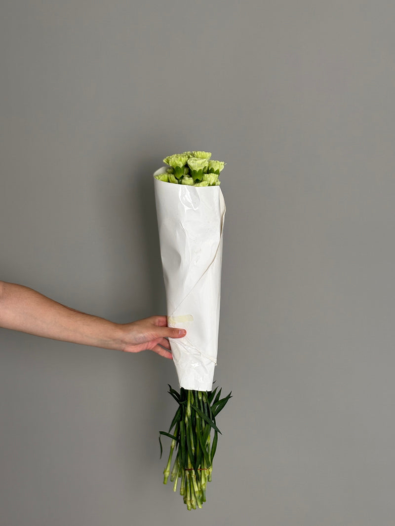Green dianthus
