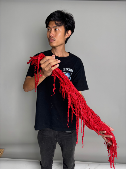 Amaranth red. Dried flowers