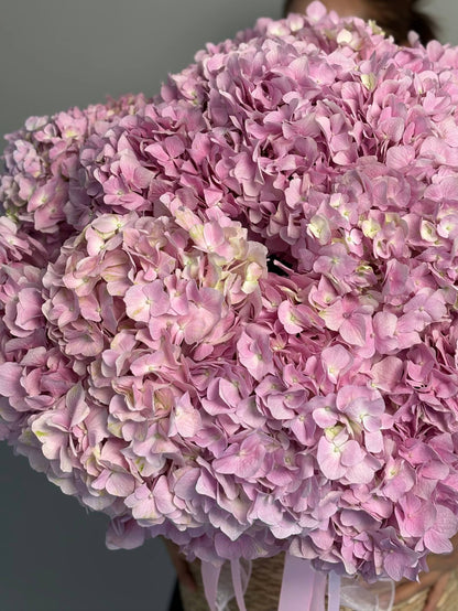 Cashpo with hydrangeas