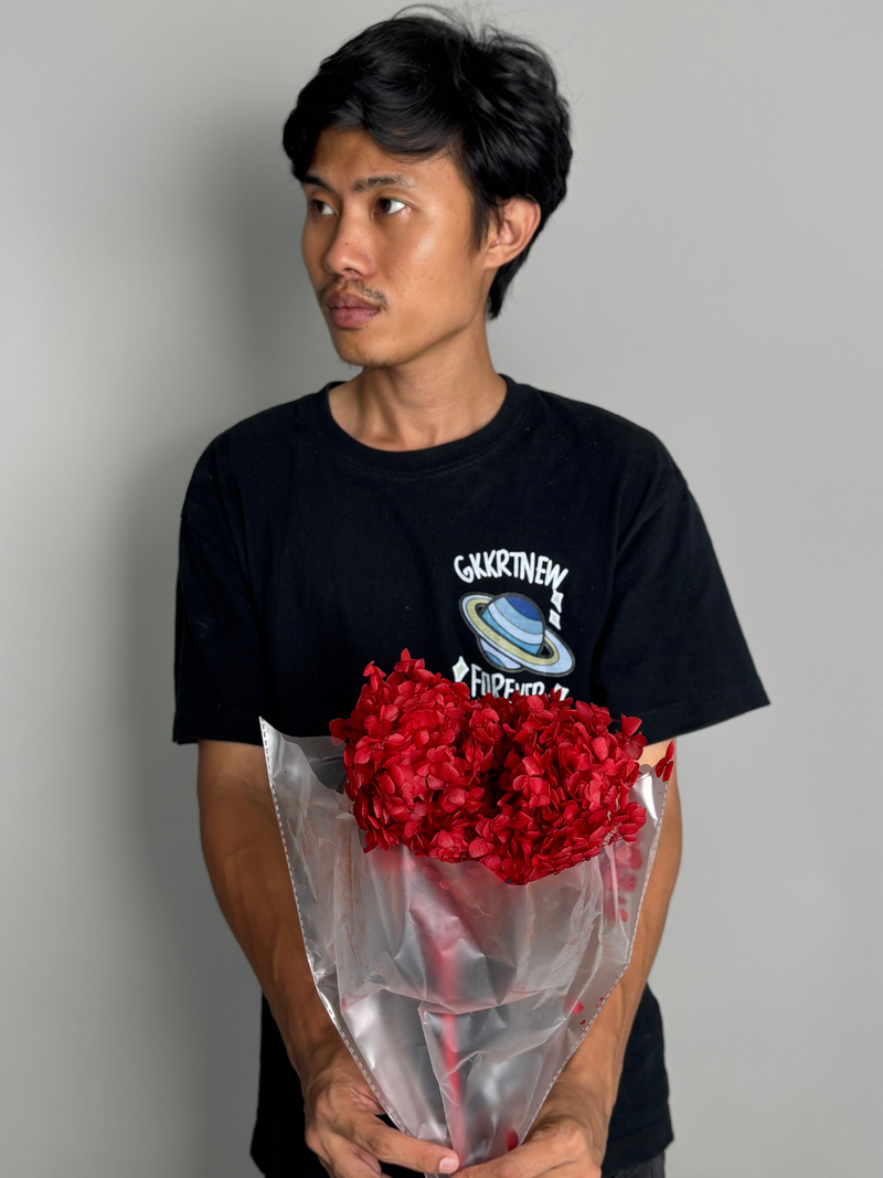 Red hydrangea. Preserved flower