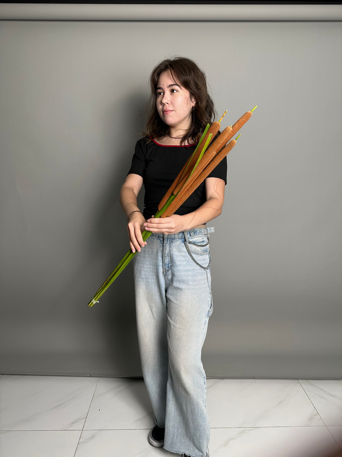 Reeds (5 stems)