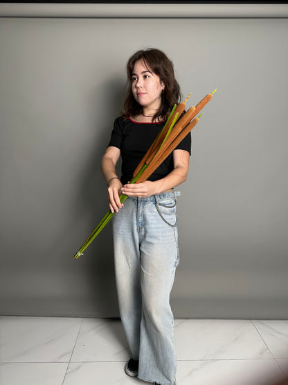 Reeds (5 stems)
