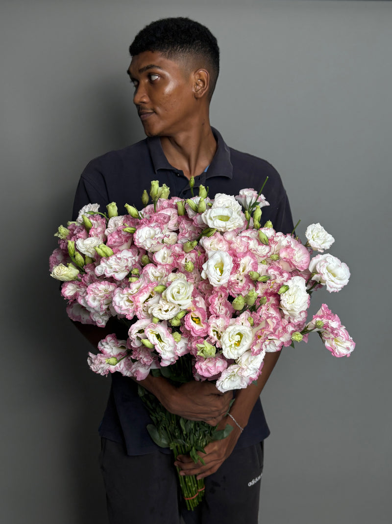Big pack Pink Eustoma (30 stems)