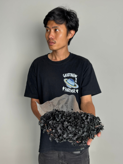 Black hydrangea. Preserved flower
