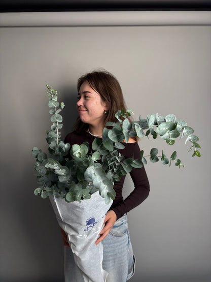 Eucalyptus