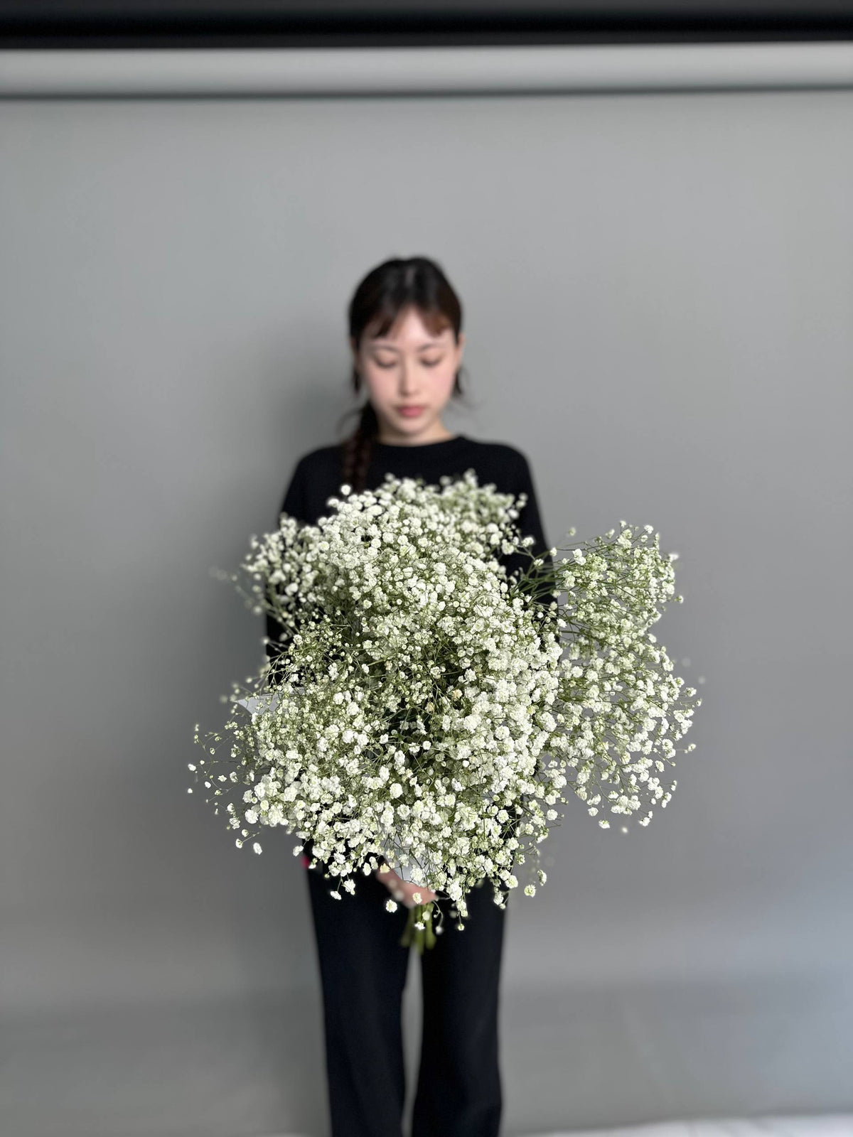 Gypsophila