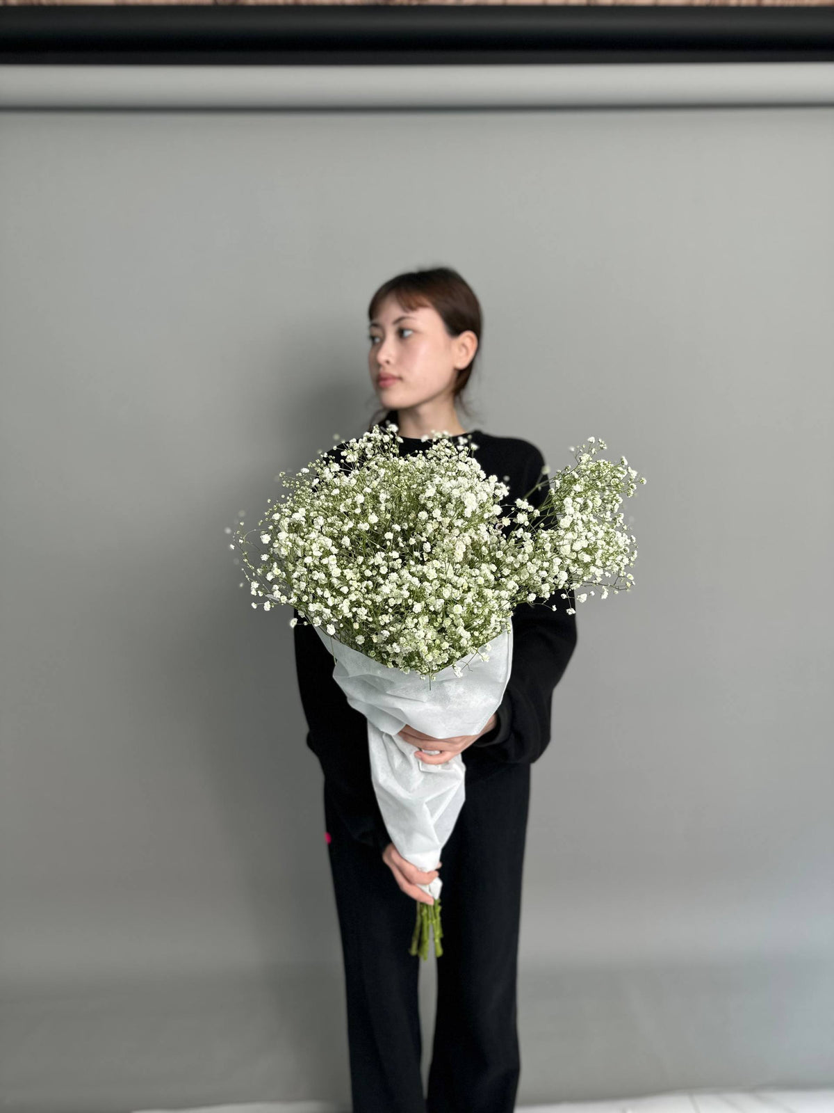 Gypsophila
