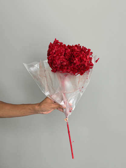 Red hydrangea. Preserved flower