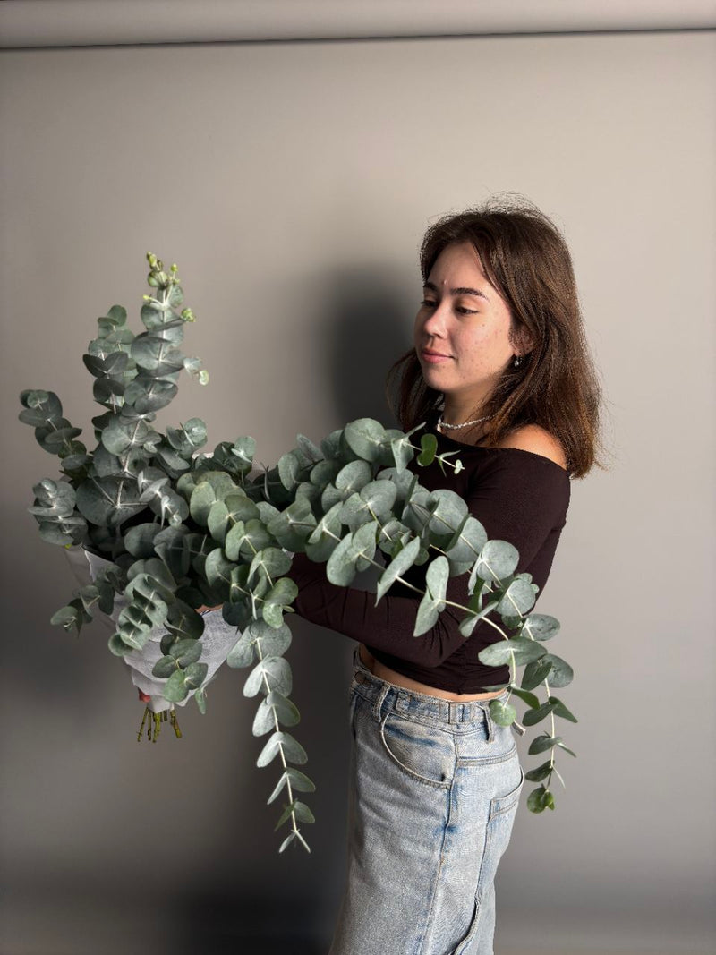 Eucalyptus