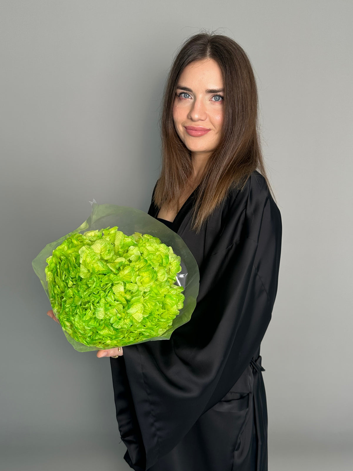 Green hydrangea. Preserved flower
