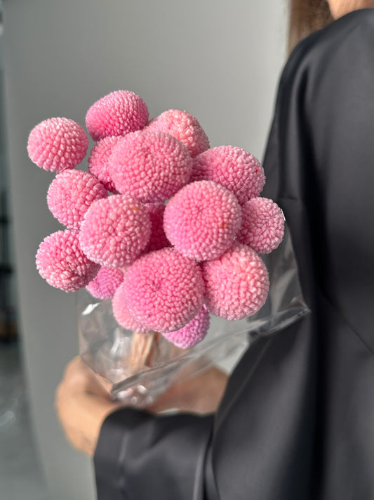 Craspedia dark pink. Dried flowers