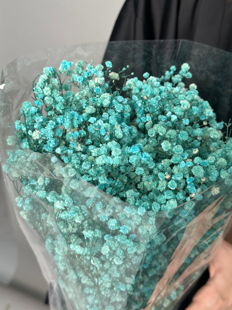 Blue gypsophila. Dried flowers