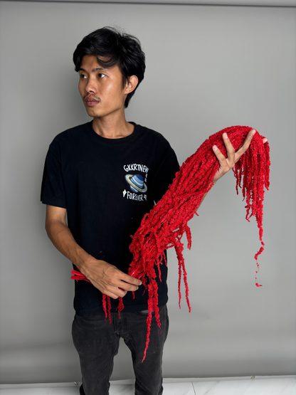 Amaranth red. Dried flowers