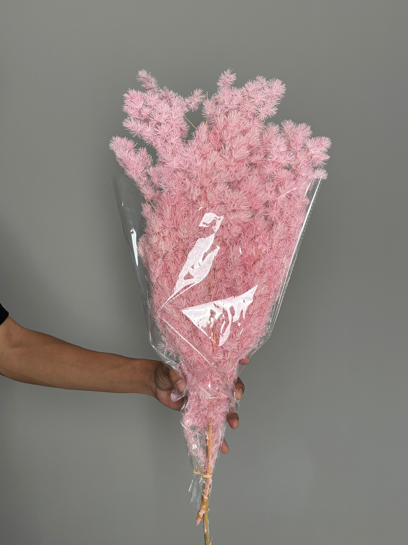 Asparagus pink. Dried flowers