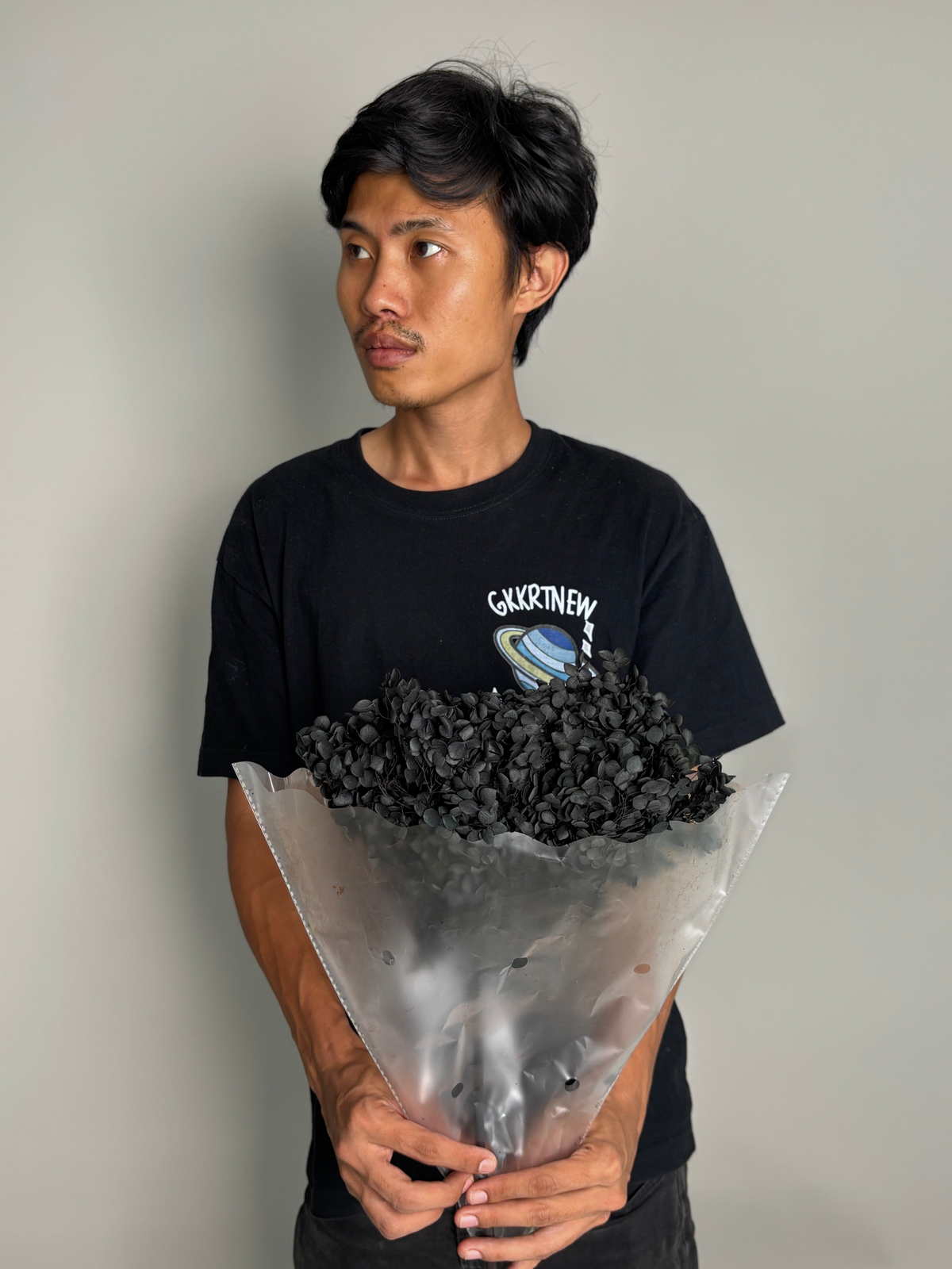 Black hydrangea. Preserved flower