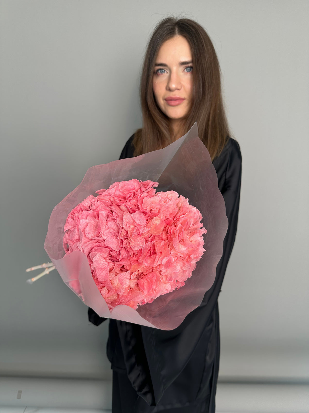 Pink hydrangea. Preserved flowers