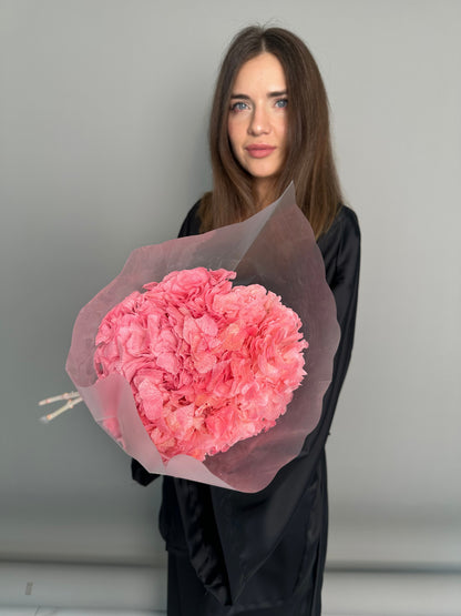 Pink hydrangea. Preserved flowers