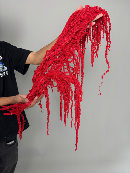 Amaranth red. Dried flowers