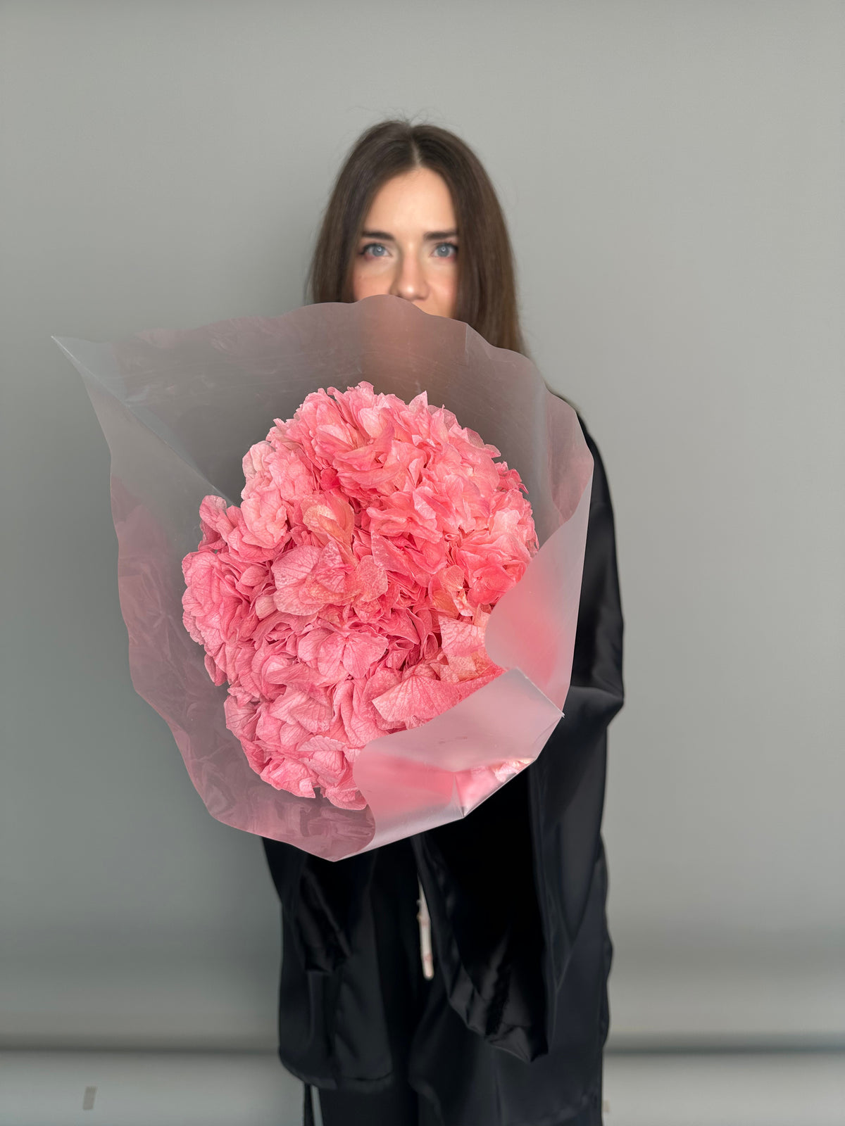 Pink hydrangea. Preserved flowers