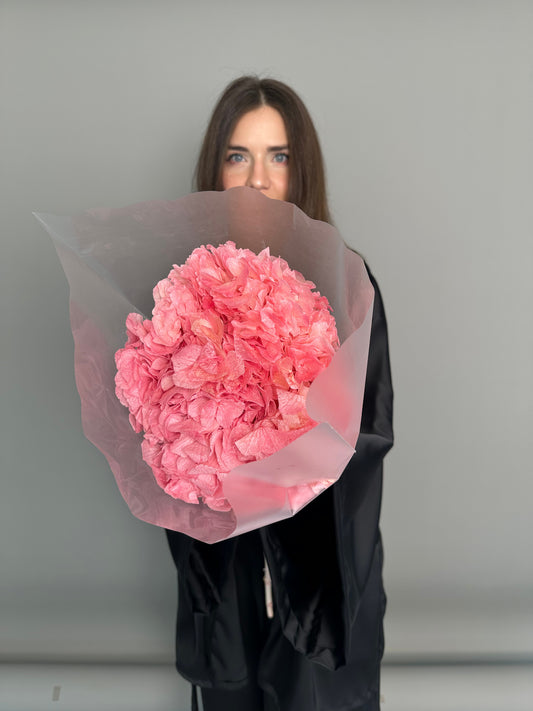 Pink hydrangea. Preserved flowers