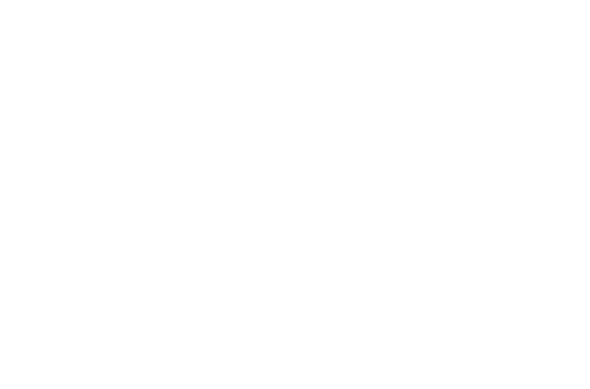 Lala Flowers and Balloons